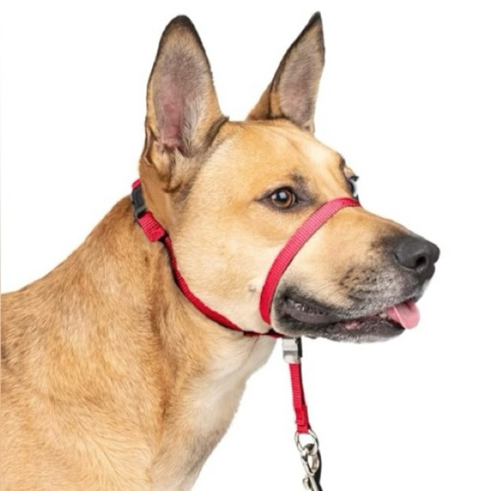 PetSafe Gentle Leader Dog HeadCollar